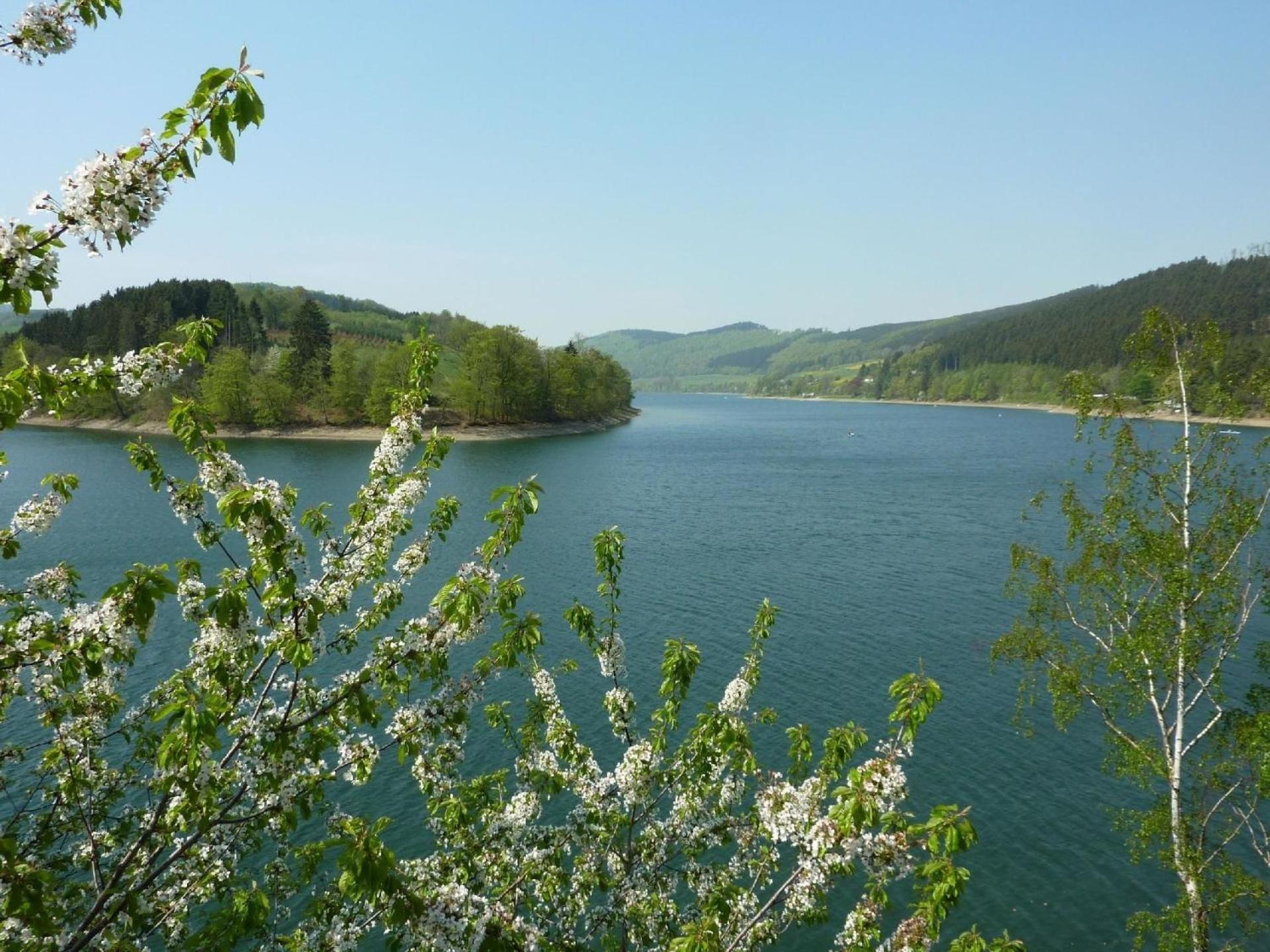 Вилла Das Ferienhaus Zum Alleinbewohnen In Diemelsee- Heringhausen Mit Sonniger Terrasse Экстерьер фото